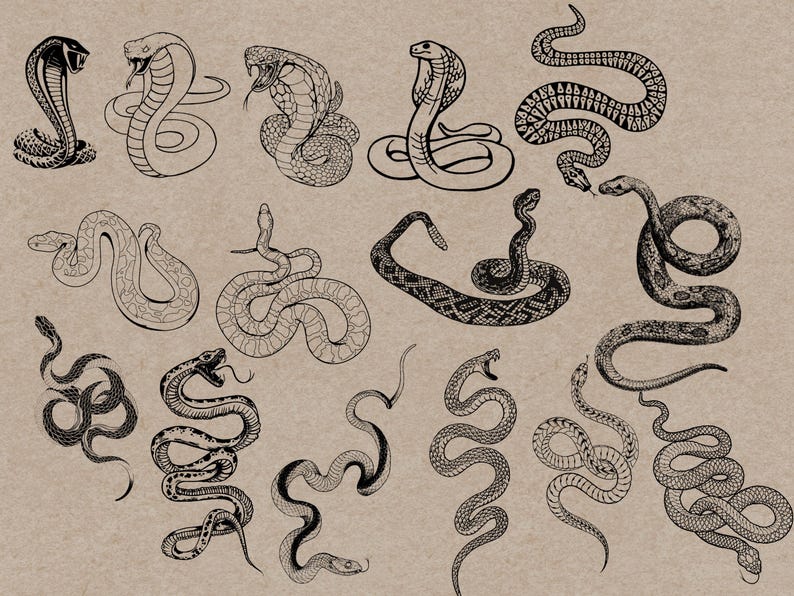 May include: A collection of black and white snake illustrations in various poses, including cobras and coiled serpents. The drawings showcase detailed patterns and textures, set against a neutral background, suitable for wall art or design projects.