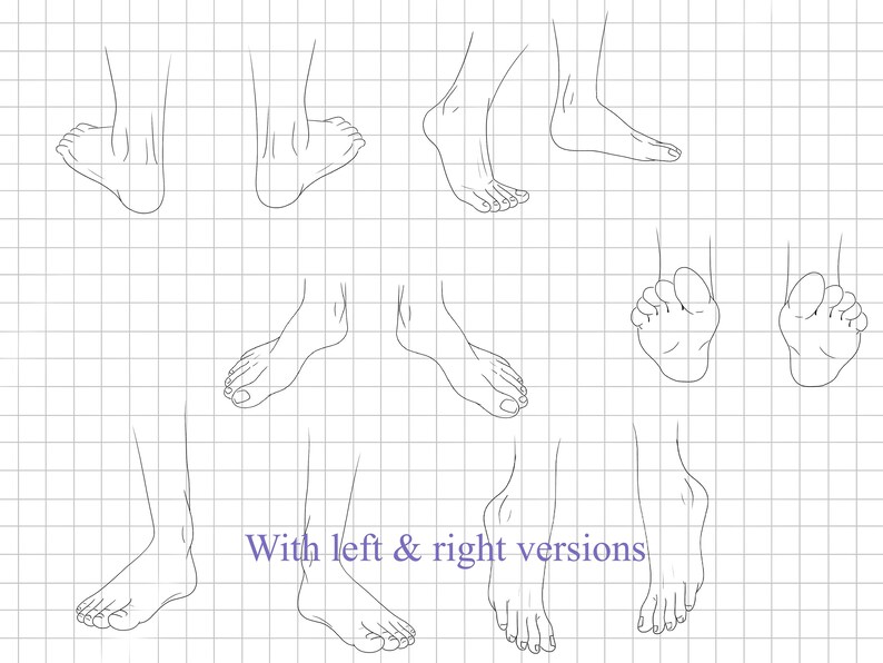 Procreate Anime Body Pose Builder: Modular Anatomy Stamps, Custom Manga ...