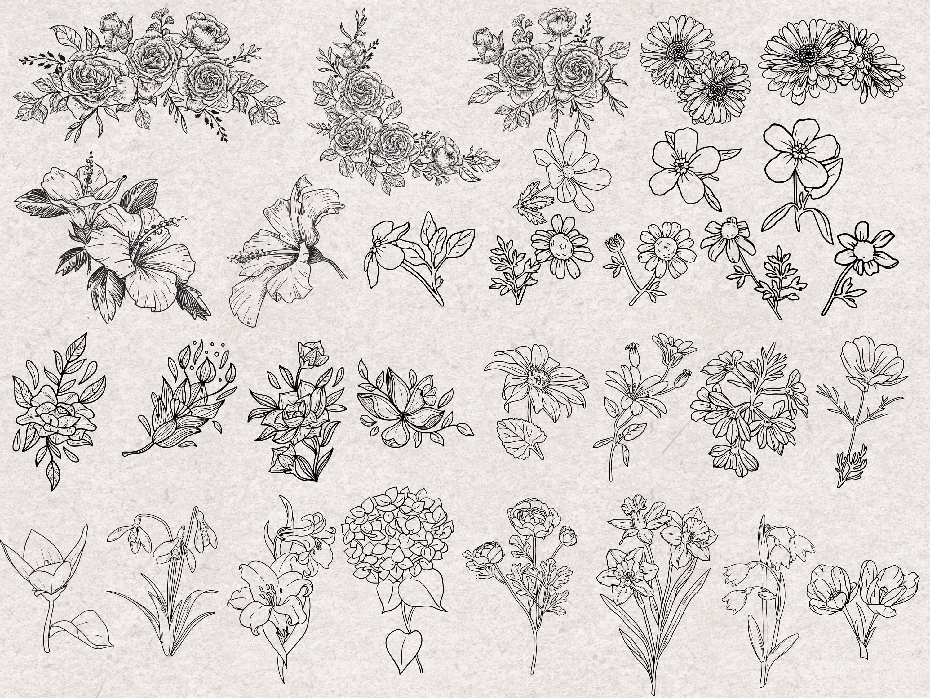 Procreate Flower Stamps : Botanical Tattoo Design Guides Rose Peony ...