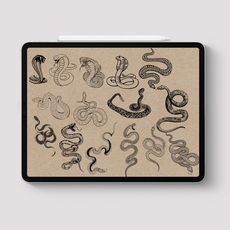 Procreate Snake Stamps Tattoo Brush 100 Procreate Tattoo Etsy