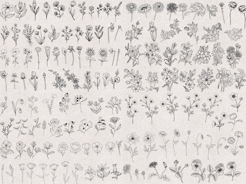 Procreate Flower Stamps : Floral Tattoo Brushes Botanical Stamp Bouquet ...