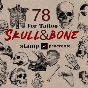 Procreate Tattoo Skull Stamps 78 Procreate Skull Bone Stamps Tattoo Realistic Tattoo Drawings Procreate Tattoos Ready to Use Bones Skeleton