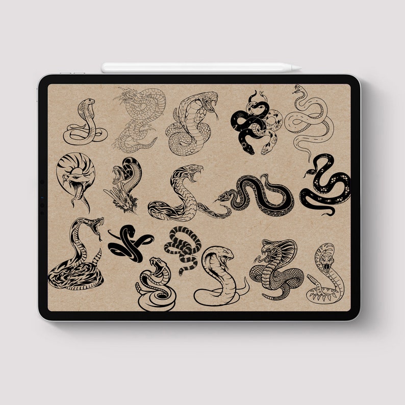 Procreate Snake Stamps Tattoo Brush 100 Procreate Tattoo Etsy