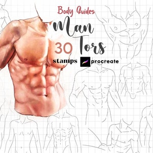Procreate Man Torso Stamp Brush 25 Male Poses Man Anatomy Procreate Man Body Guides Anime Body Procreate Manga Character Figure Procreate