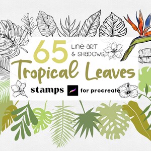 Procreate botanische Stempel Tropische Blätter Stempel Procreate Blattpinsel Blattblume Blumenpflanze Monstera Procreate Briefmarken