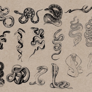 May include: A collection of detailed black and white illustrations of various snakes, including cobras and coiled serpents, on a tan background. The drawings showcase different poses and patterns, creating a vintage aesthetic.