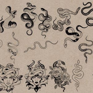 May include: A collection of black and white snake illustrations on a tan background. The drawings vary in style, including detailed depictions of snakes with open mouths, coiled forms, and Medusa-inspired designs with snakes as hair.