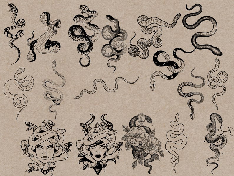 May include: A collection of black and white snake illustrations on a tan background. The drawings vary in style, including detailed depictions of snakes with open mouths, coiled forms, and Medusa-inspired designs with snakes as hair.