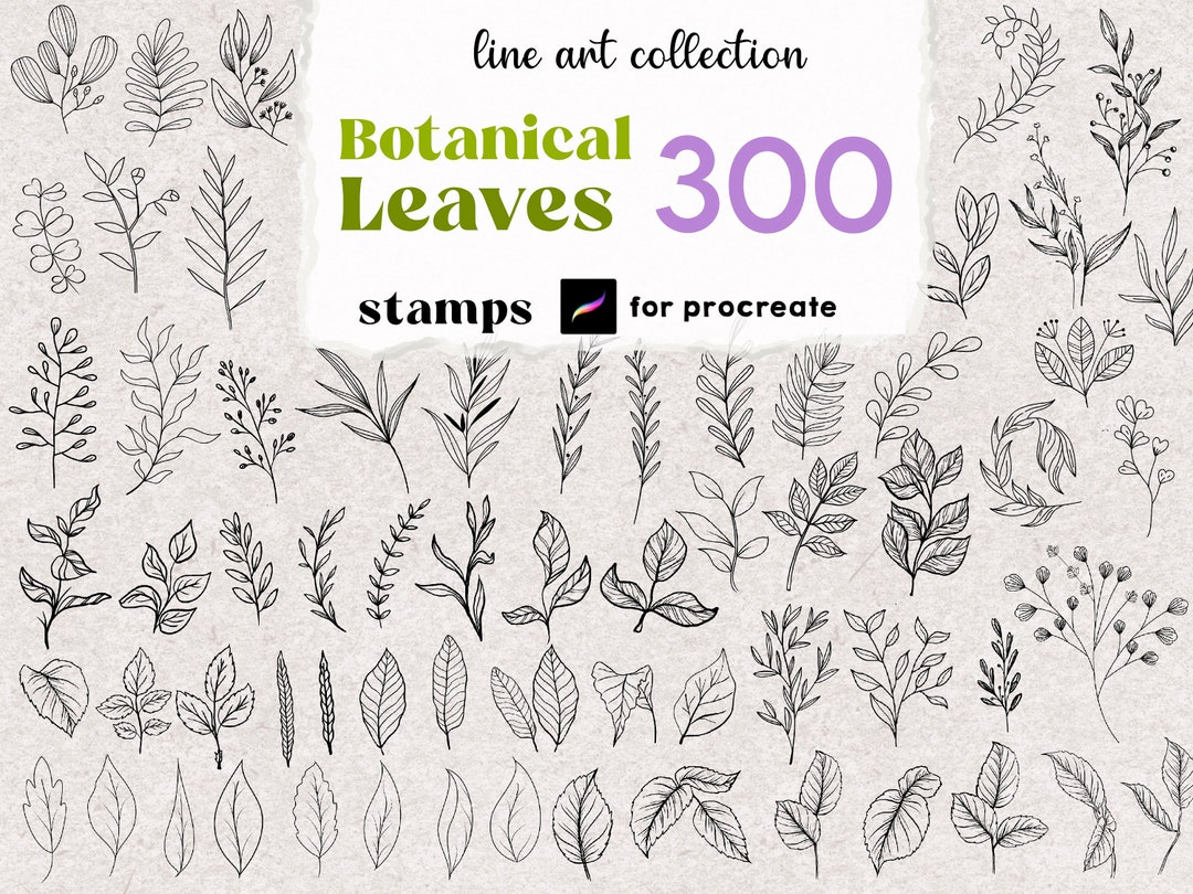 Procreate 300 Botanical Stamps Tattoo Brush Full Pack Wildflower Leaves ...