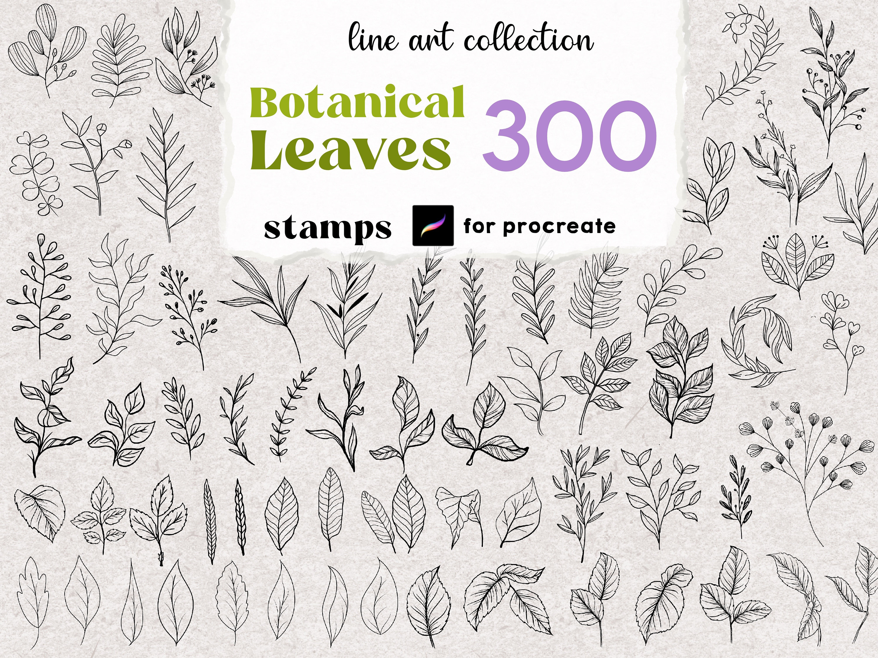 Procreate Botanical Stamps : Floral Leaves Tattoo Brush Wildflower Leaf ...