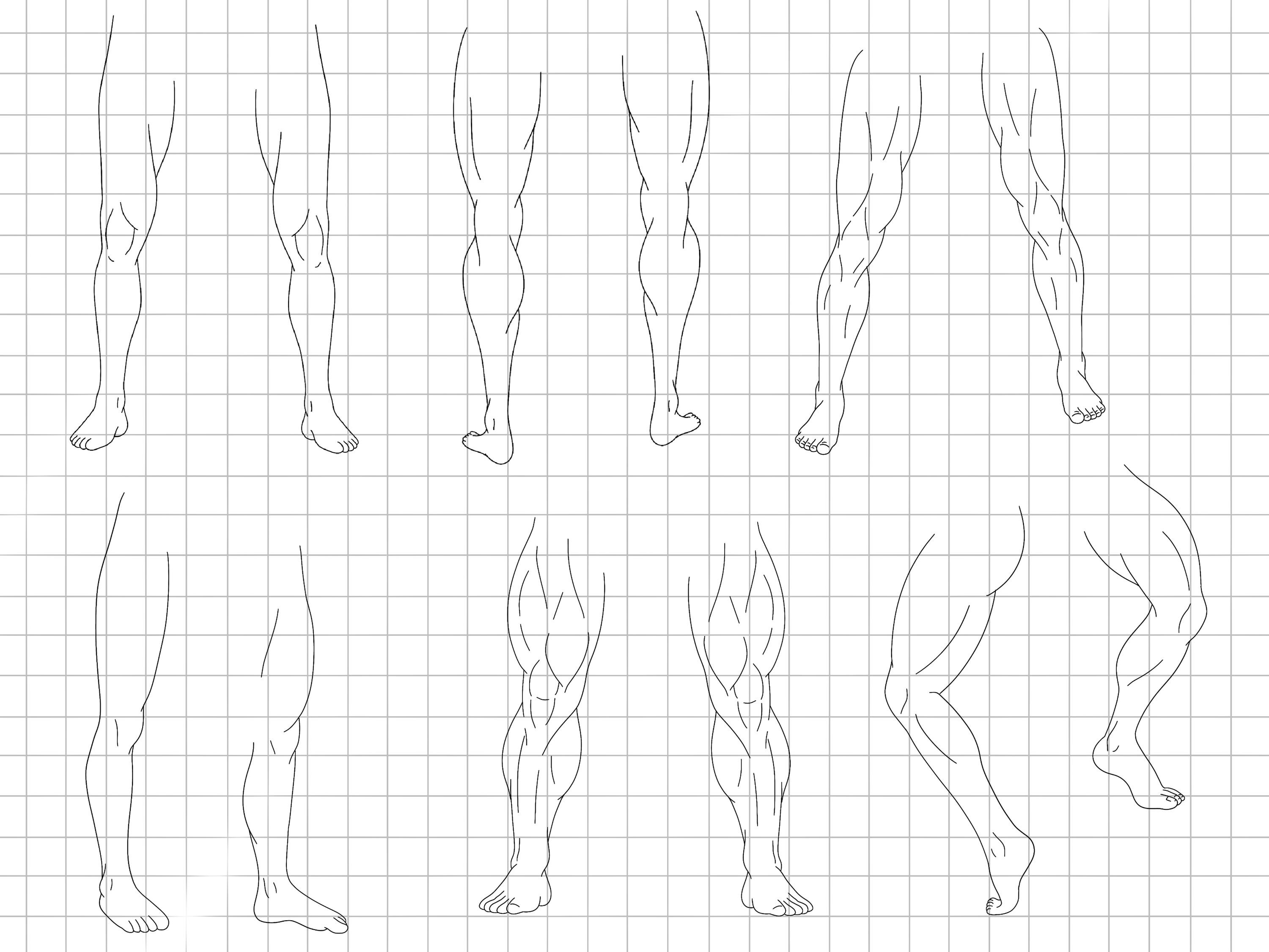 Body Guide Drawing Animation Procreate Anime Pose Maker : Male Anatomy Body Guides Manga Boy Base ...