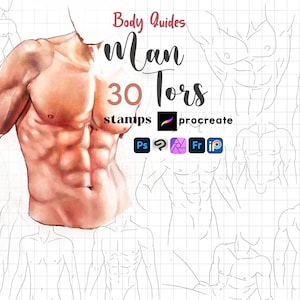 Procreate Man Body Stamps 25 Procreate Anime Male Torso Poses Man Anatomy Procreate Body Guides Clip Studio Krita Manga Boy Muscle Photoshop
