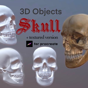Procreate 3D Object Skull Tattoo 3D Model Procreate Tattoo Model Skull Witch Animal Skull Head Magic Poison Dark Soul Tattoo Model