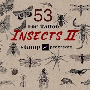 Procreate Insect Tattoo Stamps Brush 53 Tattoo Procreate Spider Bug Bugs Butterfly Retro Tattoo Stamps Procreate Tattoo Bundle Insects Brush
