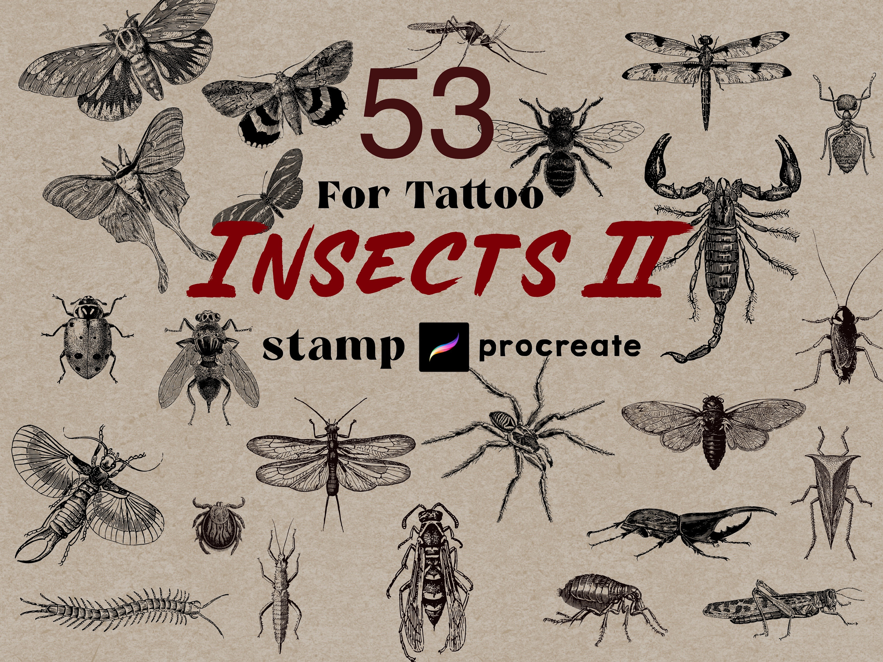 Procreate Insekten-Tattoo-Stempel Brush-Set (53) — Spinne, Schmetterling, Retro-Insekten-Bundle