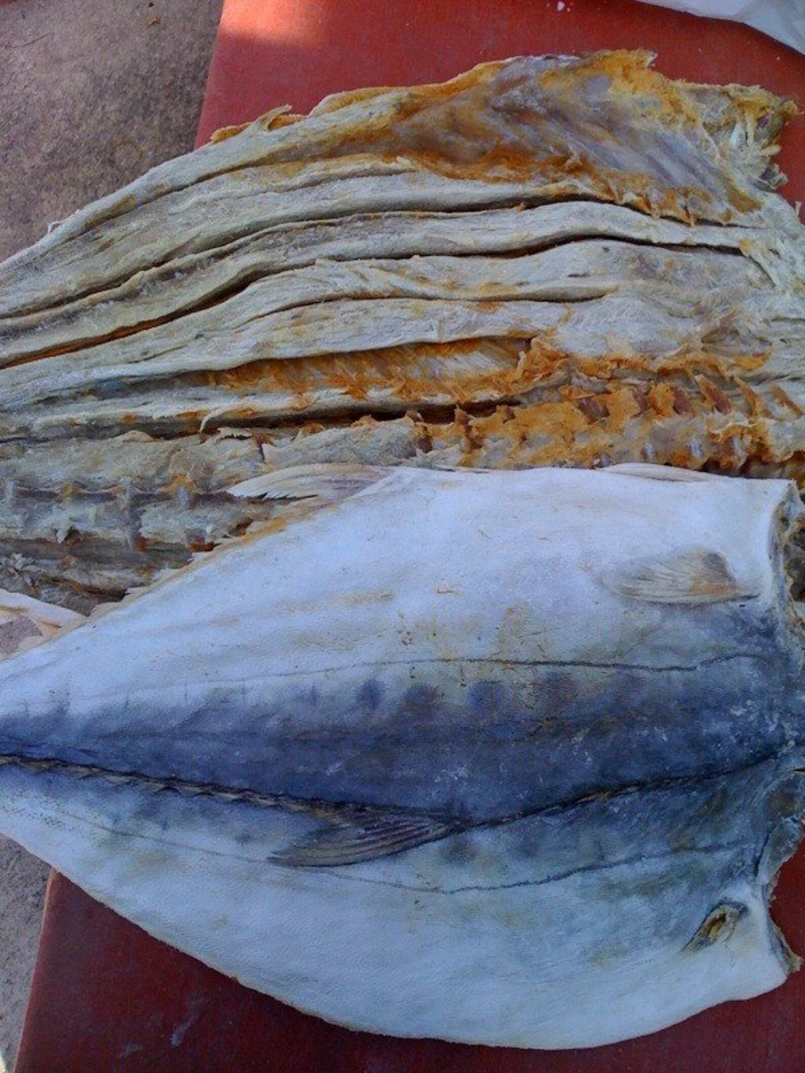 Sun Dried Fresh Queen FishKattaChemical free Dried Fish Etsy