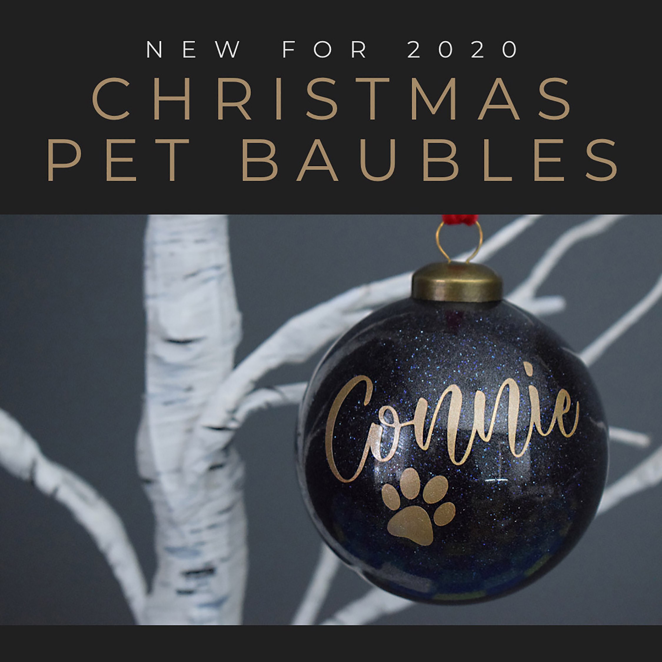 Pet Personalised Christmas Baubles Pet Christmas Baubles Pet  Etsy