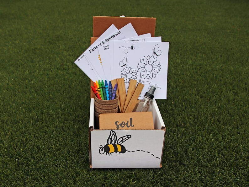 Sunflower Grow Kit Colorful Varieties KIDS EDITION Grow Etsy