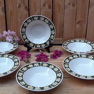 6 pratos fundos Johnson Brothers Ironstone Meadowbrook Snowwhite Ironstone
