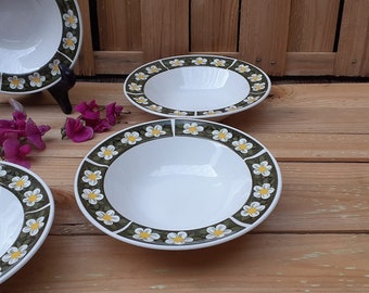 5 assiettes creuses terre de fer anglaise Myott The Brook, ironstone