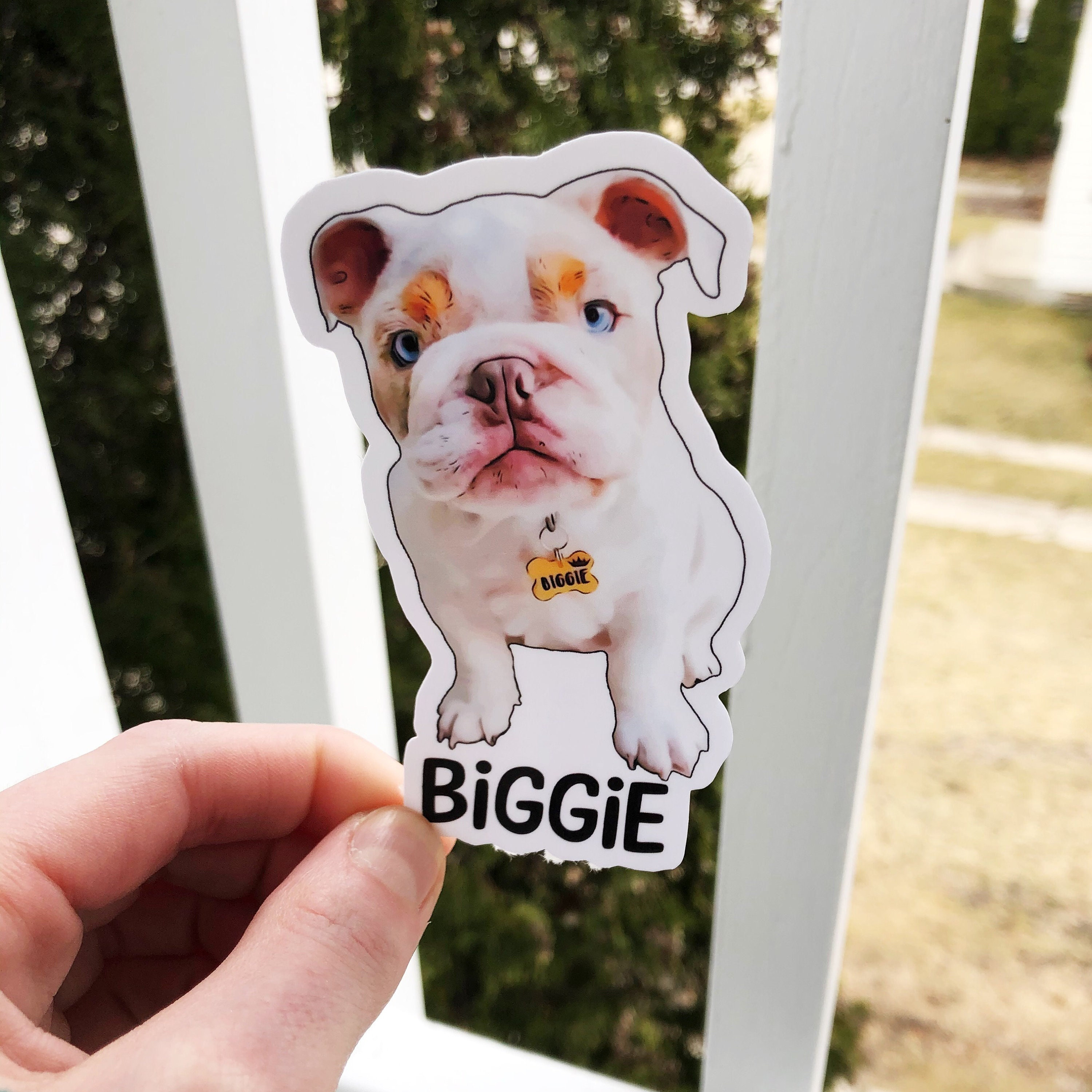 Custom Pet Sticker Custom Dog Sticker Custom Cat Sticker Etsy