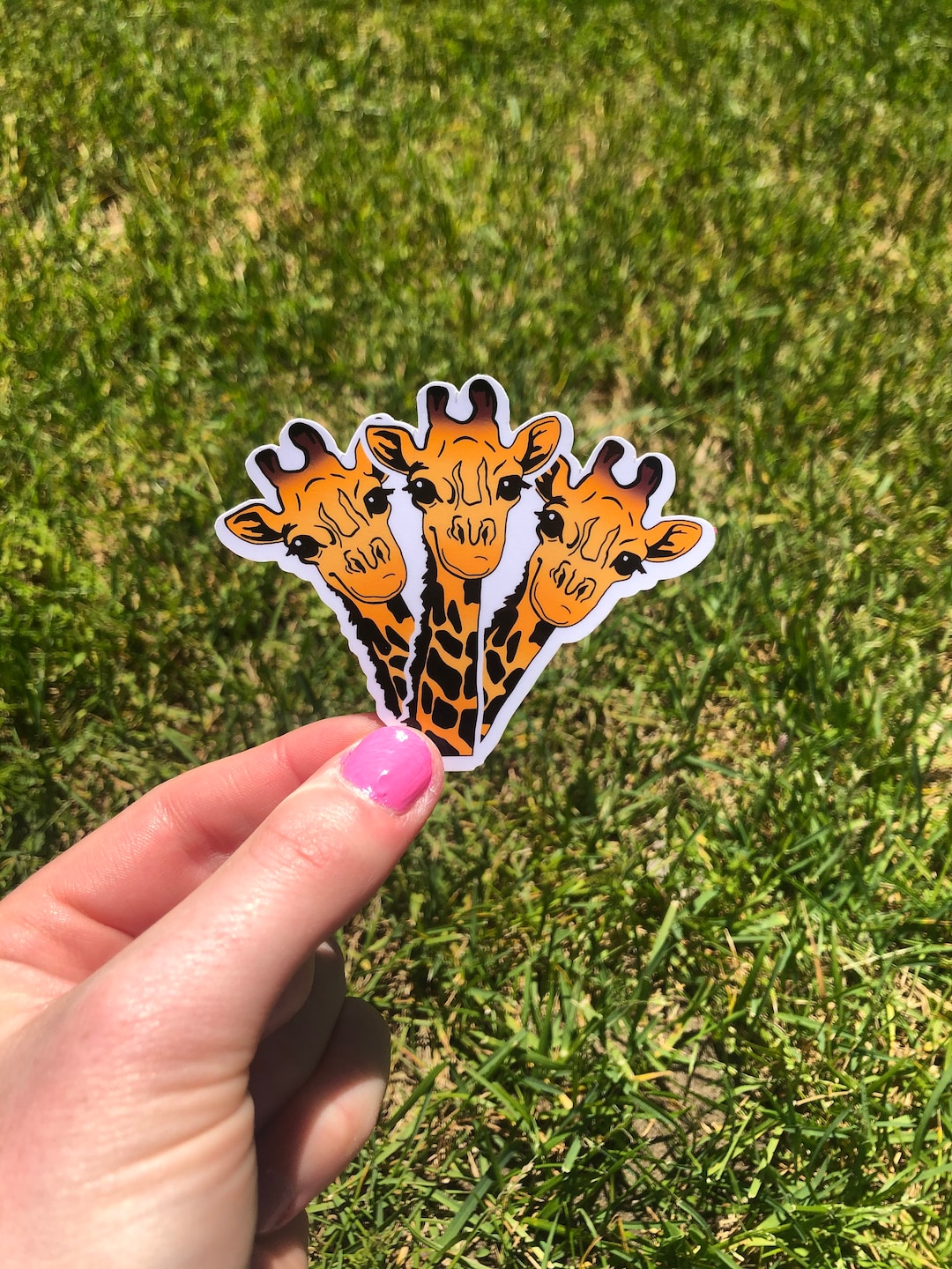 Giraffe Sticker, Three Giraffe Sticker, Animal Sticker, Giraffe Decal ...