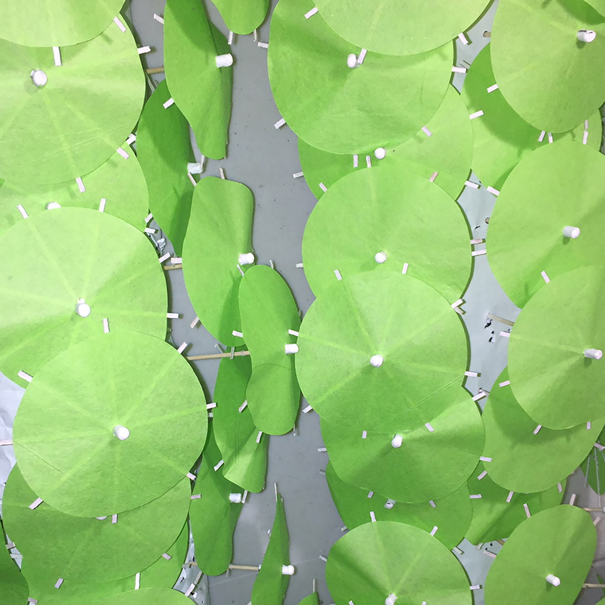 8 X Lime Green Cocktail Umbrellas NEW Lime Green Drink - Etsy