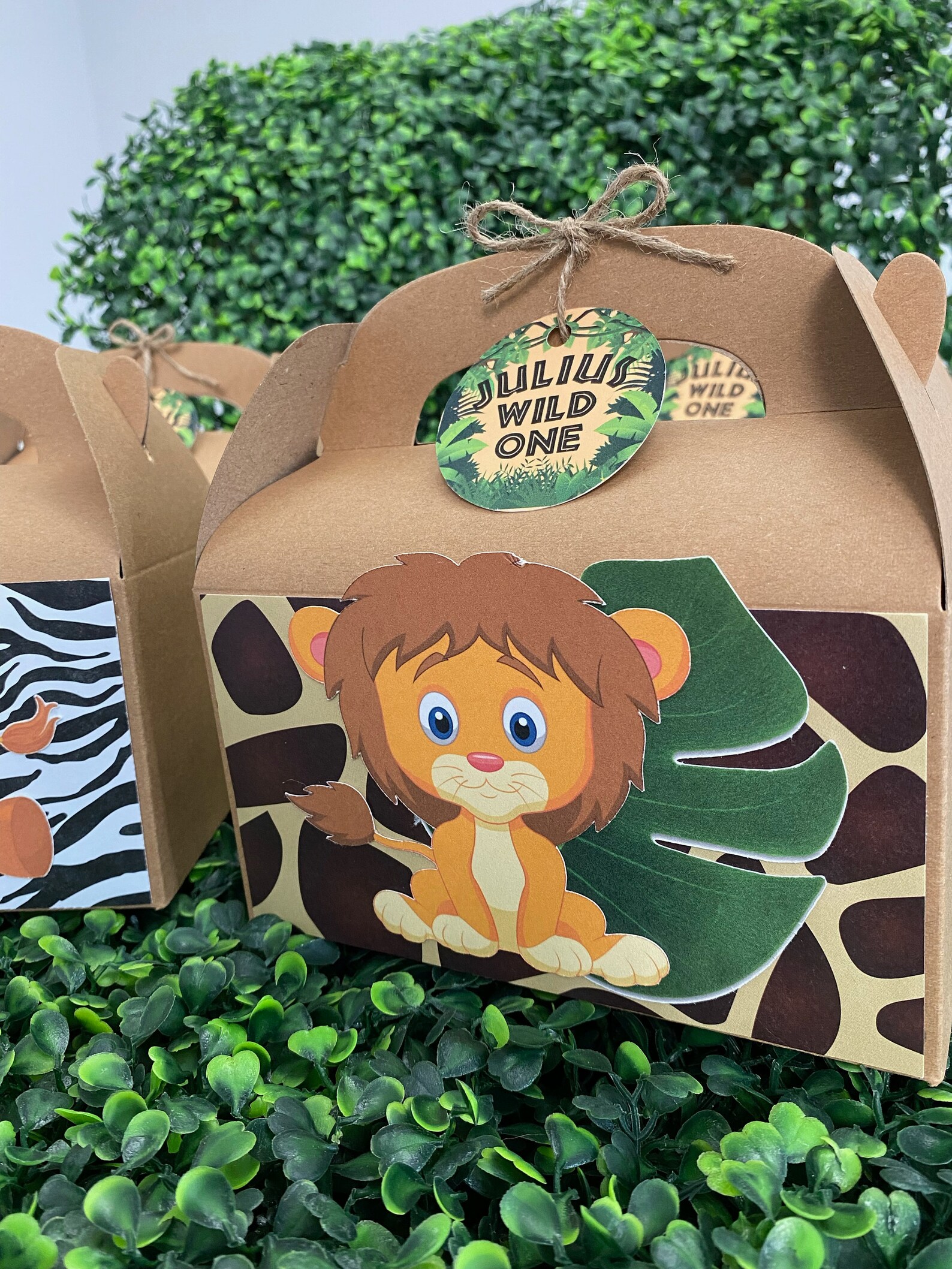 Wild Animal Themed Party Box Jungle Themed Party Box Etsy