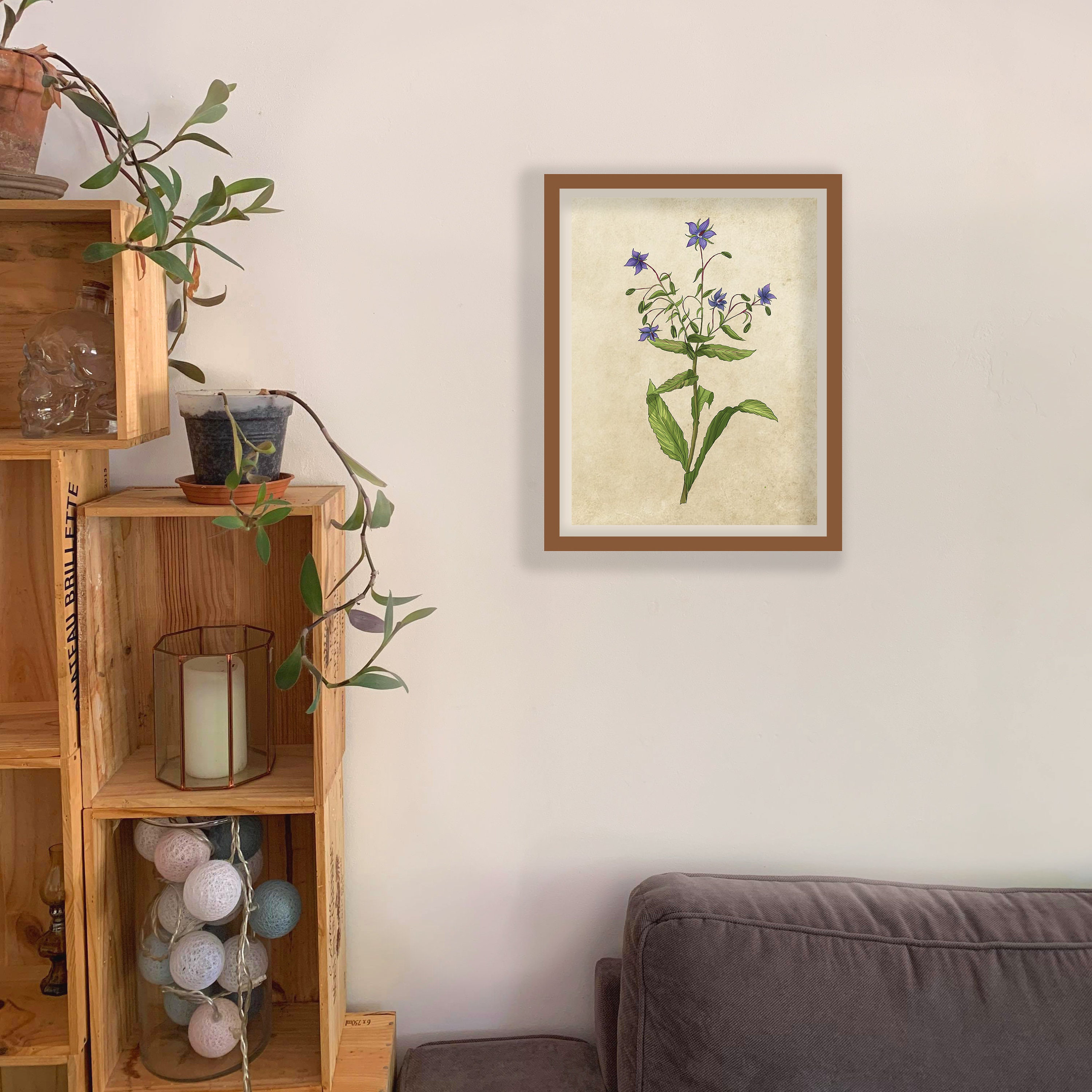 Botanical Board Borrago Officinalis