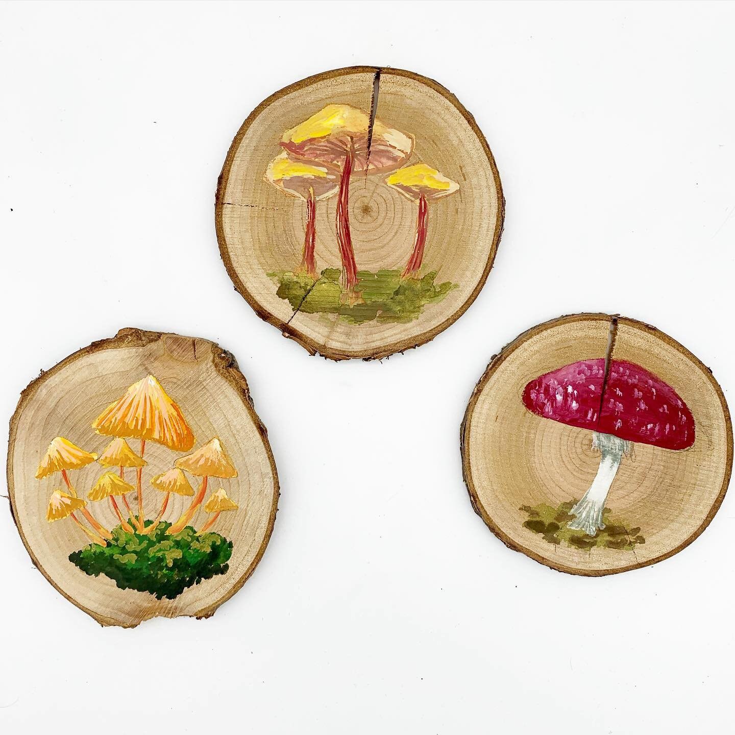 Triptyque de Champignons