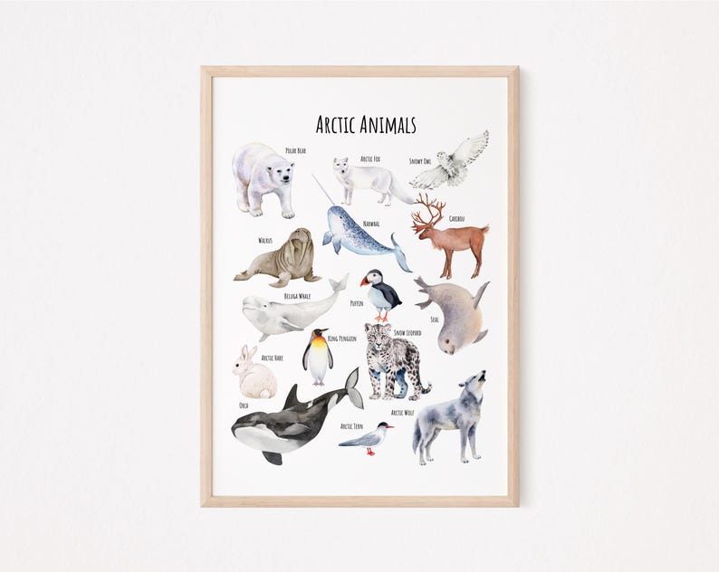 May include: A colorful watercolor illustration of Arctic animals, including a polar bear, walrus, narwhal, caribou, arctic fox, snowy owl, puffin, beluga whale, king penguin, snow leopard, arctic wolf, and arctic tern. The illustration is titled "Arctic Animals".