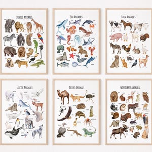 6 carteles de animales, clasificación educativa de animales, láminas educativas para niños, aprendizaje en casa en el aula Montessori, descarga digital