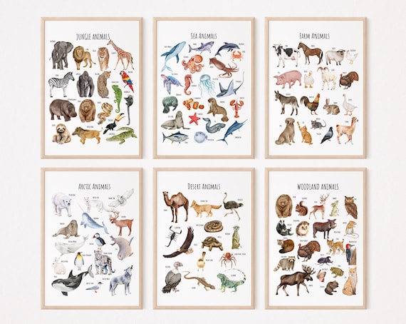 6 Animal Posters, Animal Educational Classification, Kids Educational Prints, Montessori Classroom Homeschool Learning, DIGITAL DOWNLOAD