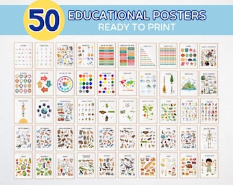 Conjunto de 50 pósteres educativos, láminas didácticas, imprimibles para la educación en casa, decoración para aulas Montessori, educación preescolar.