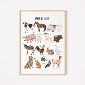 May include: A colorful illustrated chart featuring farm animals, including a cow, horse, sheep, chicken, pig, duck, goat, turkey, donkey, rooster, rabbit, goose, dog, cat, mouse, pigeon, and llama. The chart is titled "Farm Animals".