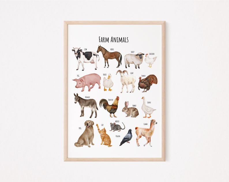 May include: A colorful illustrated chart featuring farm animals, including a cow, horse, sheep, chicken, pig, duck, goat, turkey, donkey, rooster, rabbit, goose, dog, cat, mouse, pigeon, and llama. The chart is titled "Farm Animals".