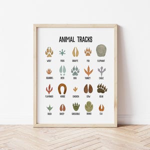 Animal Tracks Print, Nursery Wall Art Decor, Animal Poster, Animal Footprint Chart, Wildlife Art Prints, Educational Poster Paw Prints