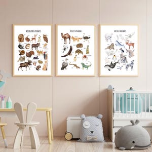 May include: Three framed prints with watercolor illustrations of animals from different habitats. The prints are titled "Woodland Animals", "Desert Animals", and "Arctic Animals".