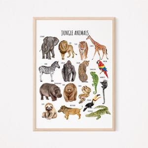 May include: A colorful educational poster featuring illustrations of jungle animals, including an elephant, lion, tiger, giraffe, zebra, gorilla, leopard, chameleon, toucan, sloth, and crocodile. The poster is titled "Jungle Animals".