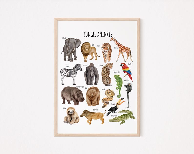 May include: A colorful educational poster featuring illustrations of jungle animals, including an elephant, lion, tiger, giraffe, zebra, gorilla, leopard, chameleon, toucan, sloth, and crocodile. The poster is titled "Jungle Animals".