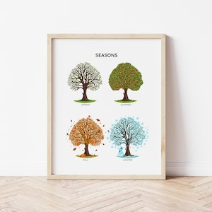 4 Jahreszeiten Poster Montessori Kleinkindbildung, Lernposter Jahreszeiten, Lernposter für Kinder, Lernposter für Kinder, Schuldekor