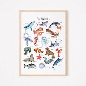 May include: A colorful educational poster featuring illustrations of various sea animals, including a blue whale, shark, octopus, sea turtle, jellyfish, and more. The poster is titled "Sea Animals".