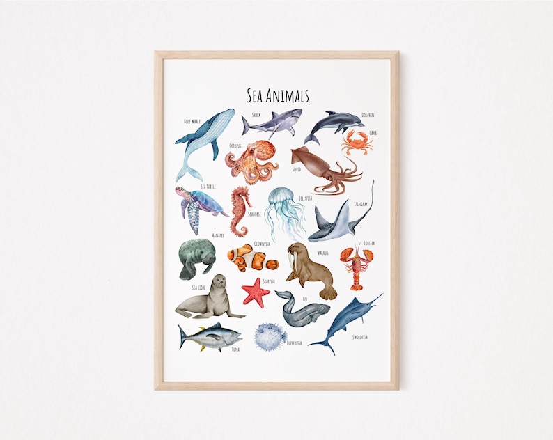 May include: A colorful educational poster featuring illustrations of various sea animals, including a blue whale, shark, octopus, sea turtle, jellyfish, and more. The poster is titled "Sea Animals".