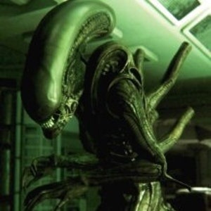 Xenomorph - Alien 1:1 Scale Lifesize Statue