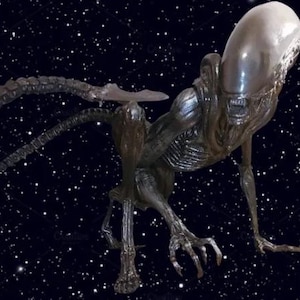 Xenomorph - Alien 1:1 Scale Lifesize Statue