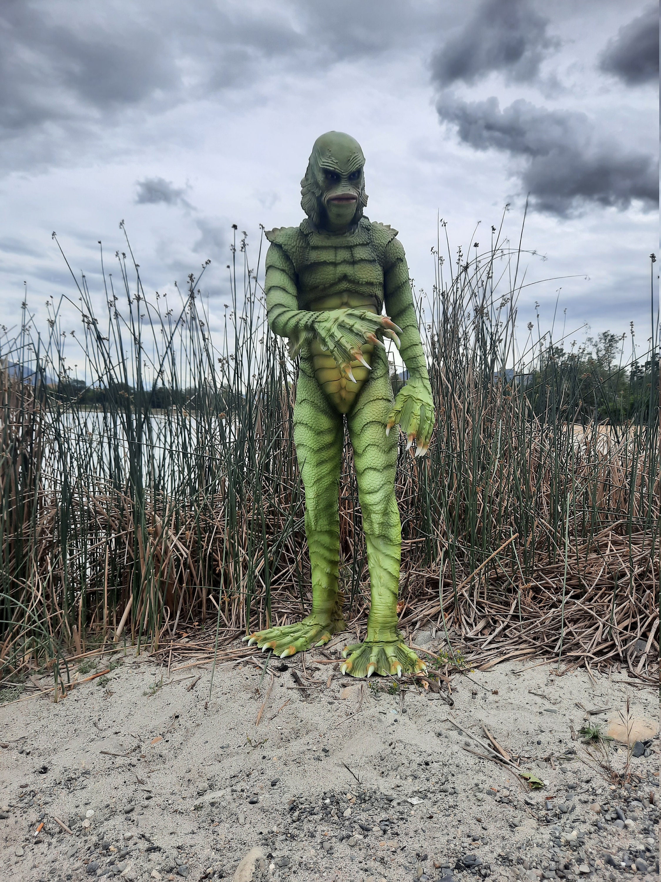 Creature From the Black Lagoon Costume - Etsy