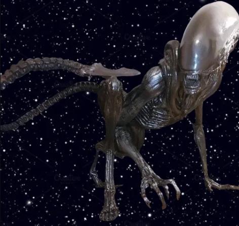Tête De Xénomorphe (Alien) Taille Réelle 1:1 - Kit Modèle En Plastique - Neuf