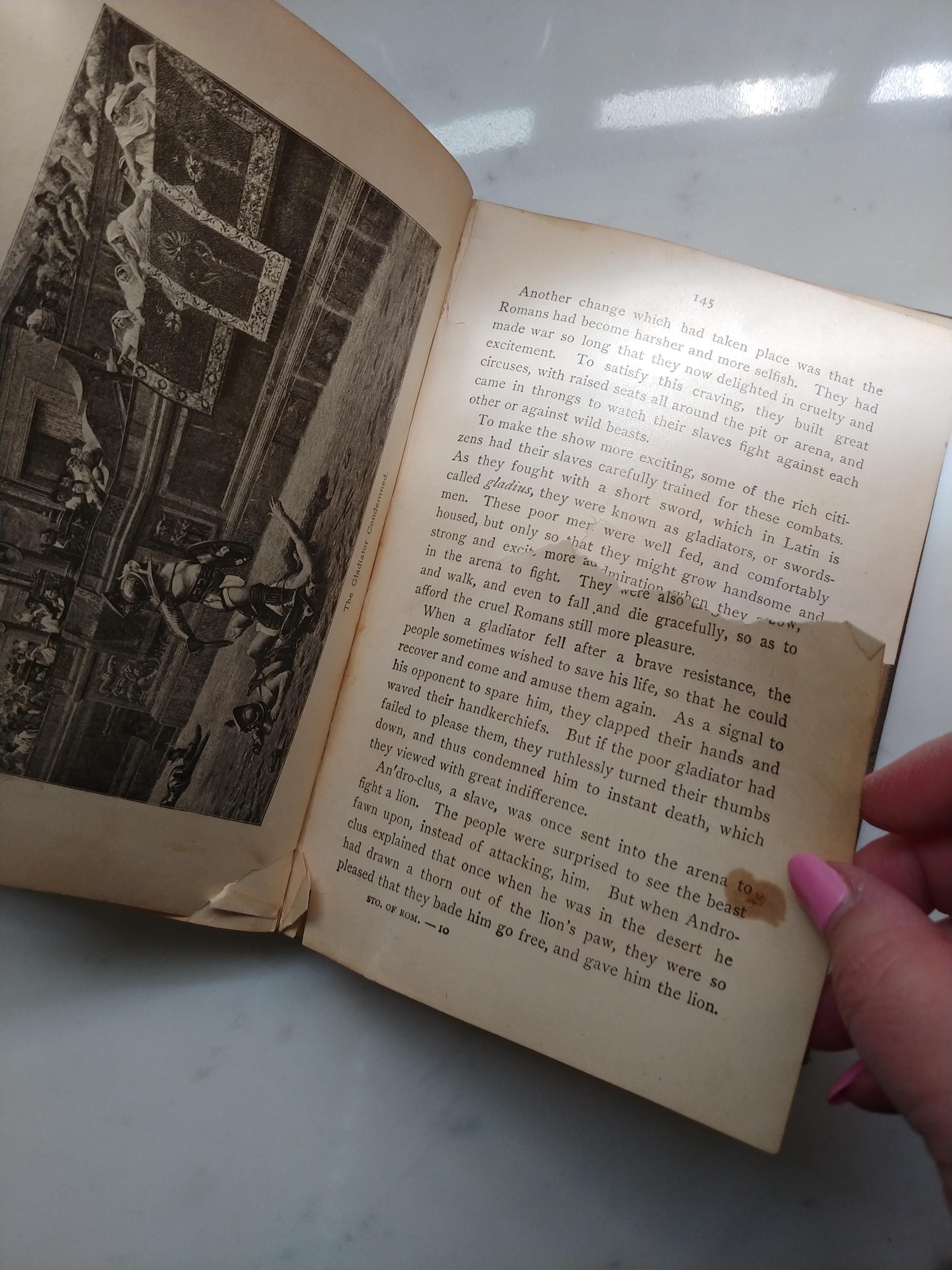 1896 the Story of the Romans School Reader - Etsy