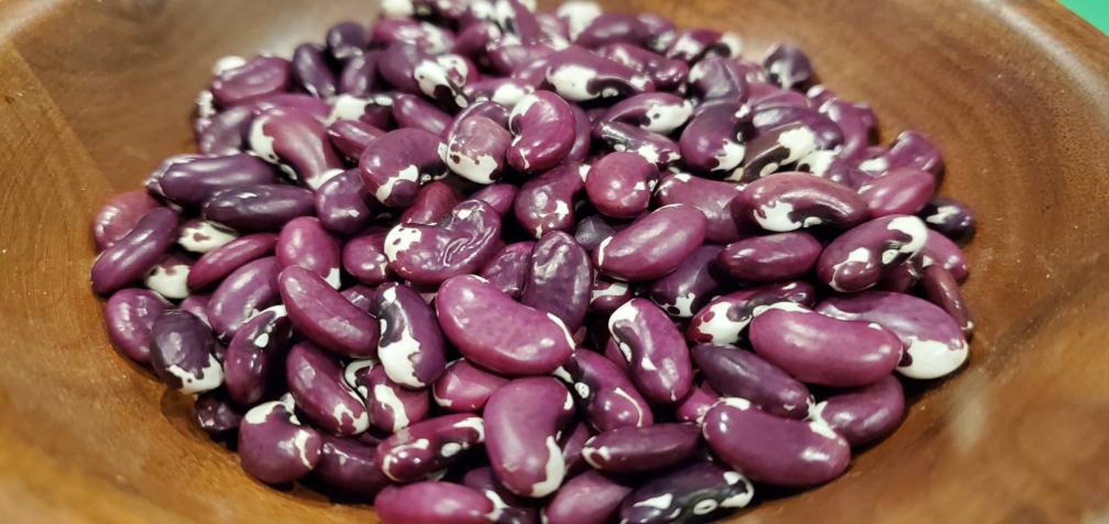 1500 Year Old Cave Beans | Etsy
