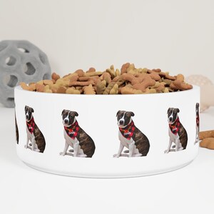 Pet Name Bowl, Custom Pet Bowl, Custom Cat Bowl, Pet Photo Bowl, Dog Custom Bowl, Dog Mom Gift, Puppy Bowl, Personalize Pet Gift, Dog Bowl